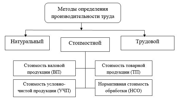 Дипломная работа: Исследование учета затрат машинно-тракторного парка и анализ эффективности его использования в организации АПК